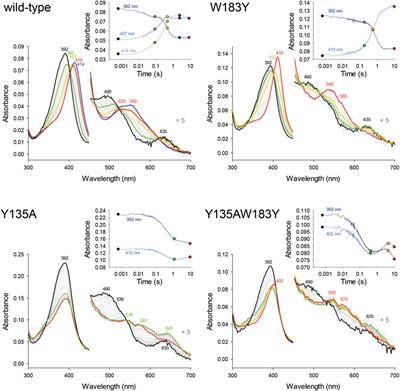 Initial Steps to Engineer Coproheme Decarboxylase to Obtain Stereospecific Monovinyl, Monopropionyl Deuterohemes